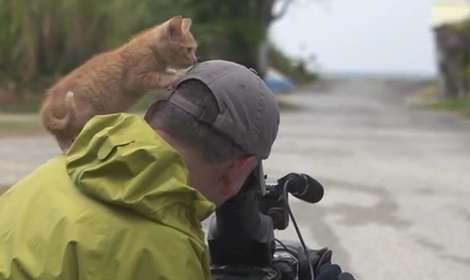 「もう そこにおれ」 おじいちゃんと黒猫の日常の一コマがかわいすぎる4枚