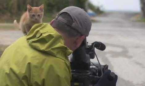 「もう そこにおれ」 おじいちゃんと黒猫の日常の一コマがかわいすぎる4枚