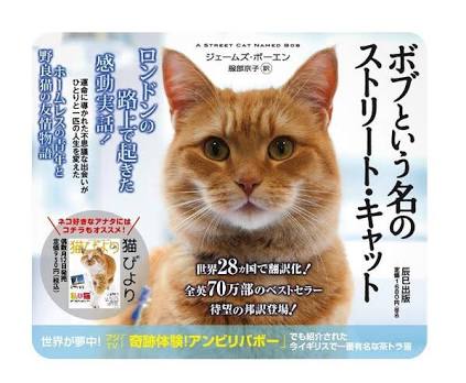 「もう そこにおれ」 おじいちゃんと黒猫の日常の一コマがかわいすぎる4枚