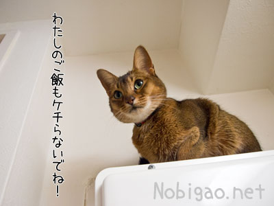 プレゼントをくれない彼氏をどう思いますか？