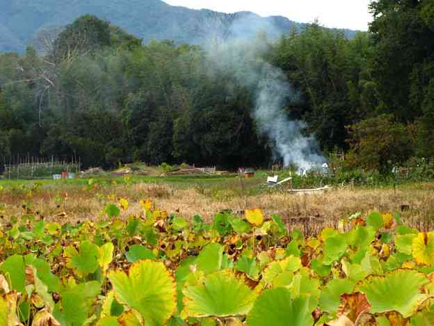 癒される田舎の風景