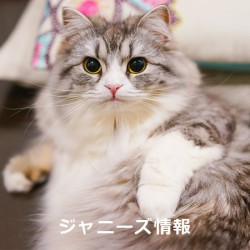 設定が痛々しい？SMAP解散バブル終了で草なぎ剛主演ドラマの視聴率が急落- 記事詳細｜Infoseekニュース