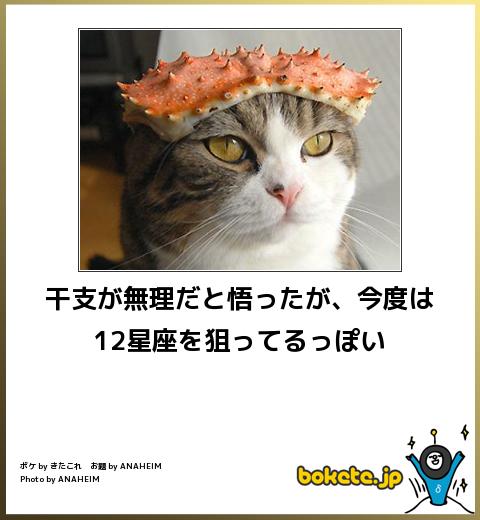 自分なりの健康法