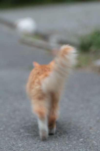 自分なりの健康法