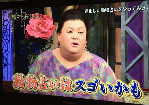 動物占い好きな人
