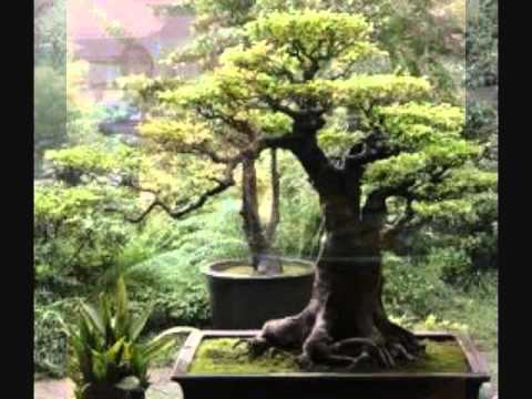 Japanese Garden Meditation - YouTube