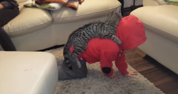 「もう そこにおれ」 おじいちゃんと黒猫の日常の一コマがかわいすぎる4枚