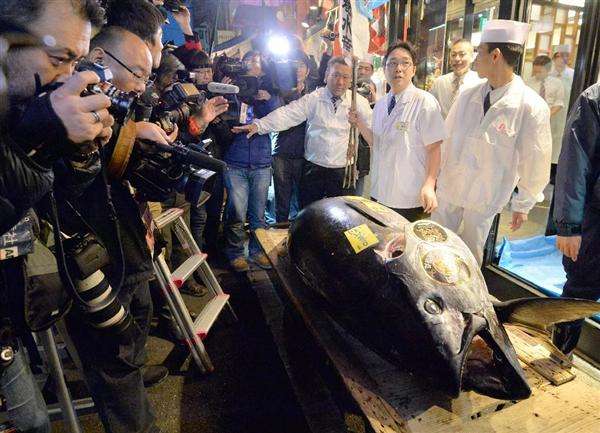 築地最後のクロマグロ初競り　最高値は１４００万円　「すしざんまい」運営会社が５年連続で落札 - 産経ニュース