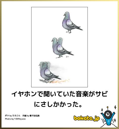 鳥の写真が集まるトピ