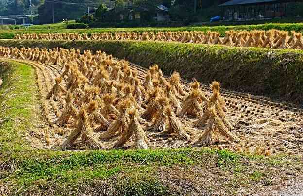 癒される田舎の風景