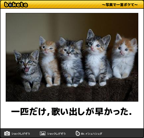 自分なりの健康法