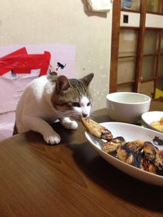ガルちゃんで画像（サイト）を貼り付ける方法＆練習Part8