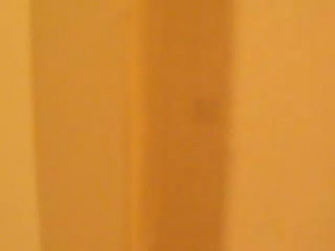 【導画 其の七十三】 - YouTube