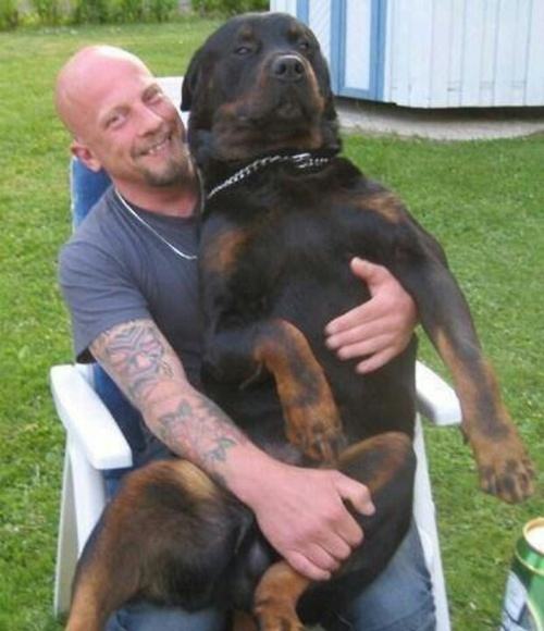 甘えている動物の写真をください