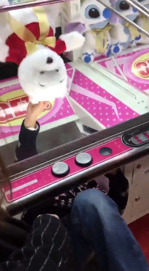 クレーンゲームに潜り込み景品を取り出した動画　神奈川県警が窃盗事件として捜査を開始