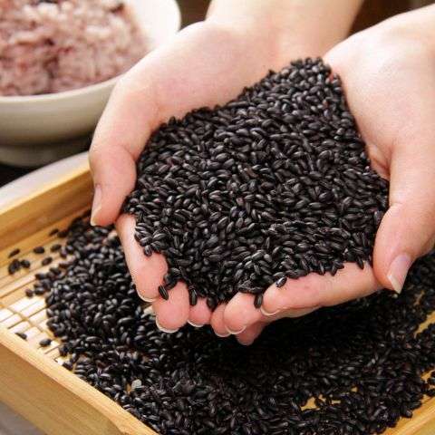 2016年はこれが流行る！注目のSuper Food(スーパーフード)編