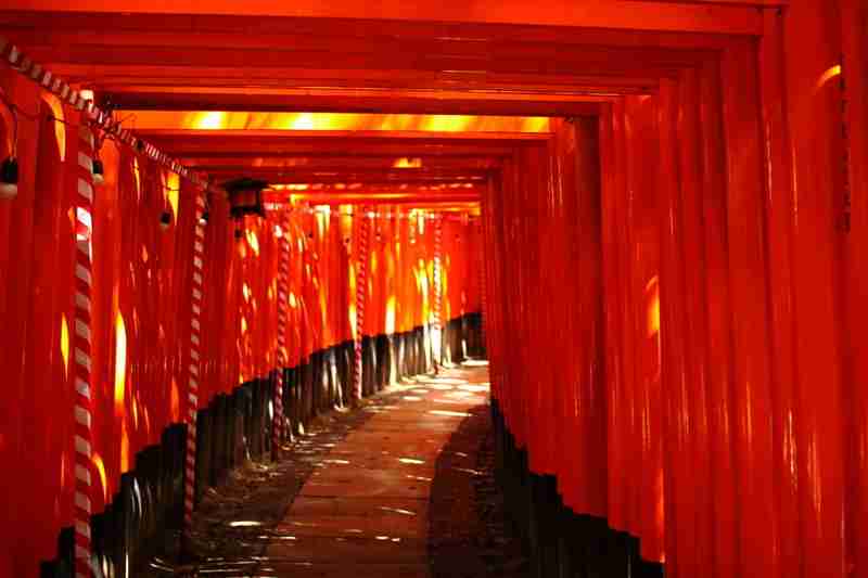 京都おすすめスポット