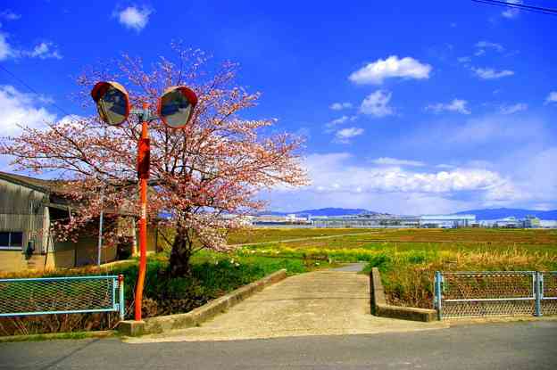 癒される田舎の風景