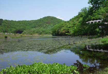 【閲覧注意】日本で絶対に行ってはいけない場所