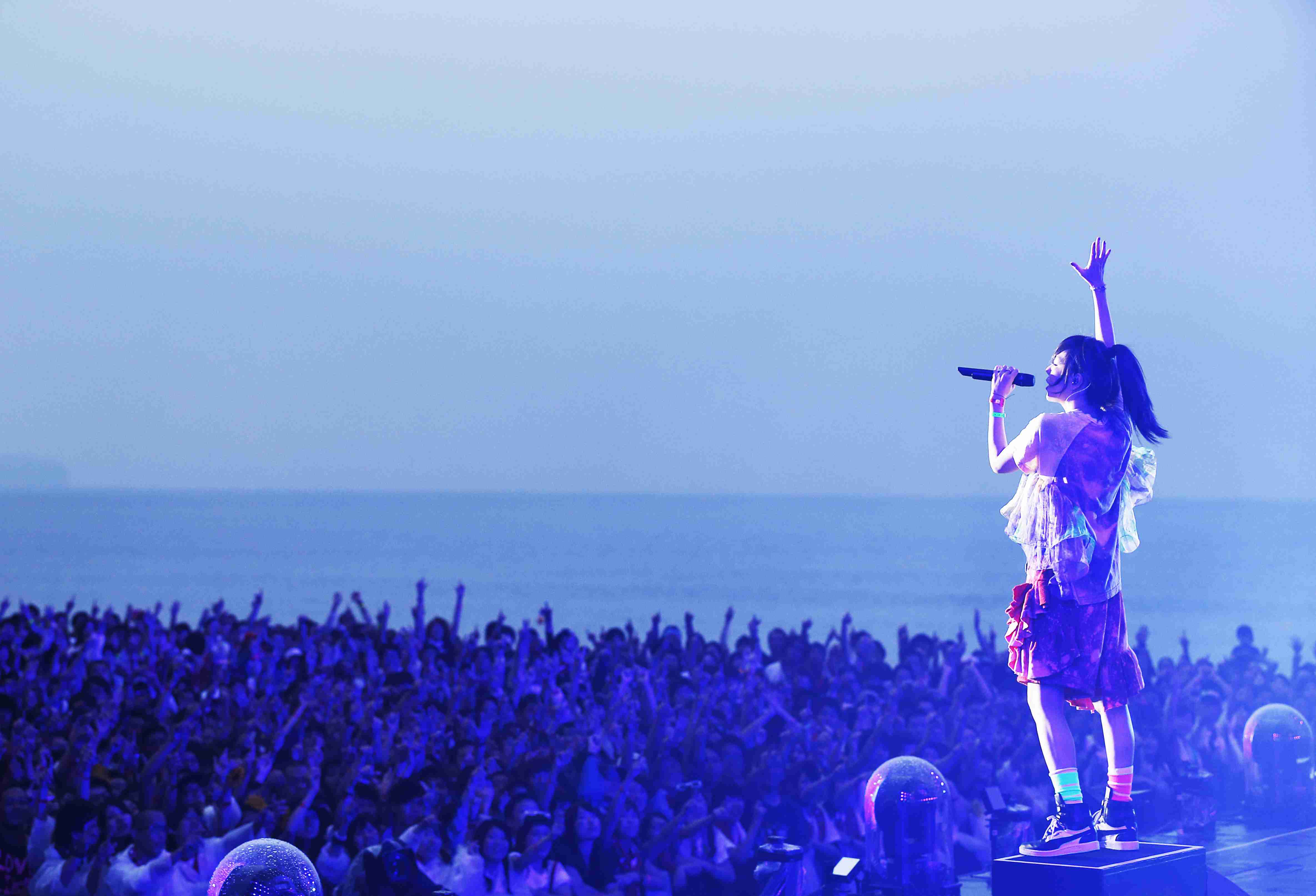好きなアーティストのLIVE中の画像を貼るトピ