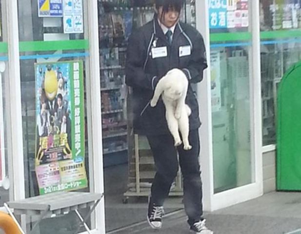 情けない顔の画像を貼るトピ