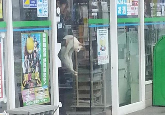 情けない顔の画像を貼るトピ