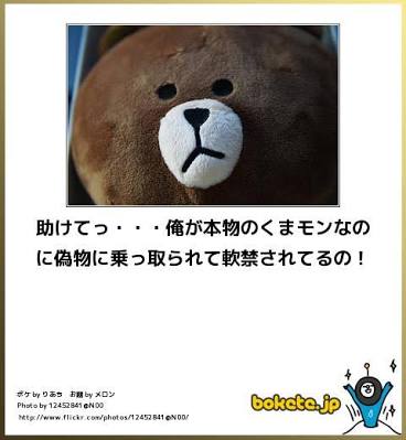 色々なニセモノを貼るトピ
