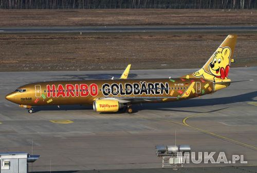 面白い飛行機の画像