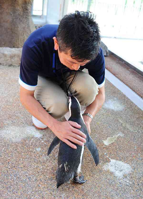 甘えている動物の写真をください