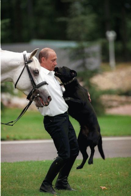 プーチン好きな人、画像貼るトピ
