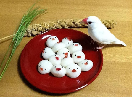 鳥の写真が集まるトピ