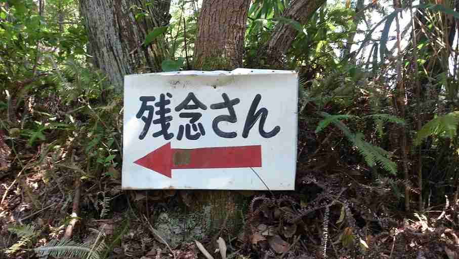 自分なりの健康法