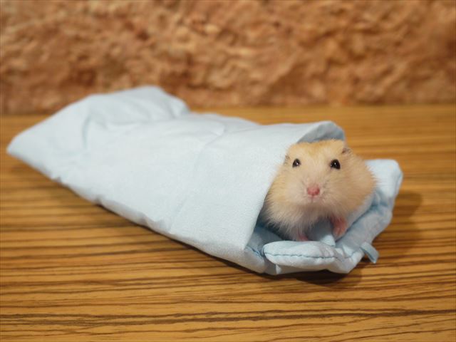 自分なりの健康法