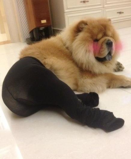 情けない顔の画像を貼るトピ