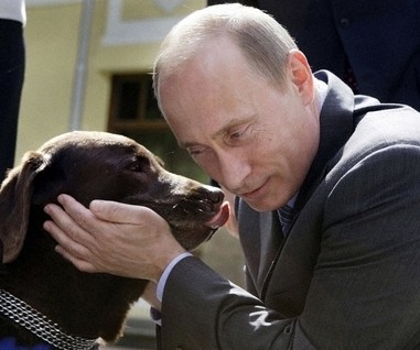 プーチン好きな人、画像貼るトピ