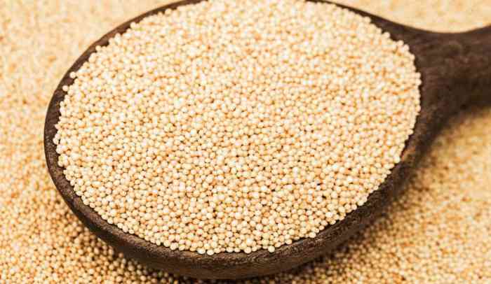 2016年はこれが流行る！注目のSuper Food(スーパーフード)編