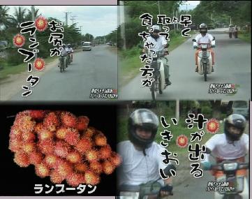 自分なりの健康法