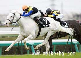 女子力高そう カワイイ名前の競走馬ランキング ガールズちゃんねる Girls Channel 女子力高そう カワイイ名前の競走馬ランキング ガールズちゃんねる Girls Channel