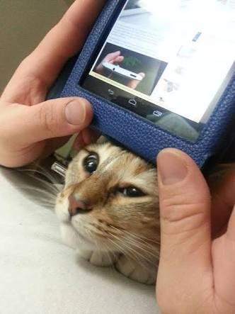 自分なりの健康法