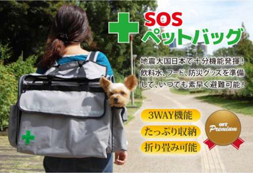 防災グッズについて