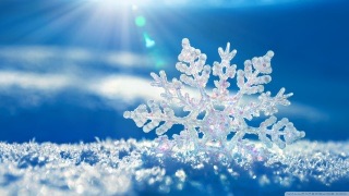 皆さん、雪大丈夫ですか？！【情報交換トピ】