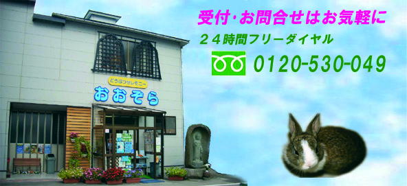 有名人芸能人タレント俳優女優アイドルのペット・動物飼育