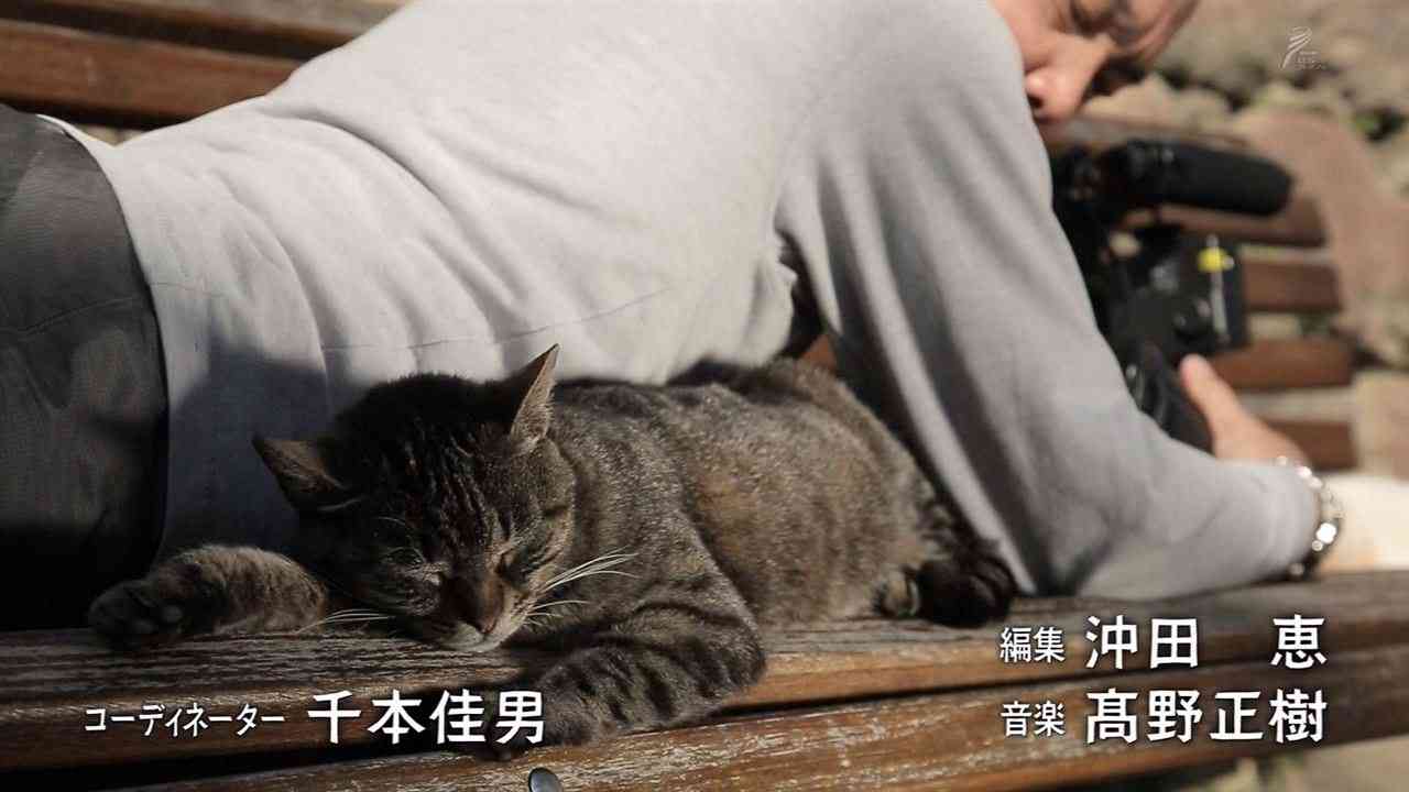 「もう そこにおれ」 おじいちゃんと黒猫の日常の一コマがかわいすぎる4枚