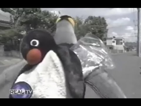 はじめてのおつかい