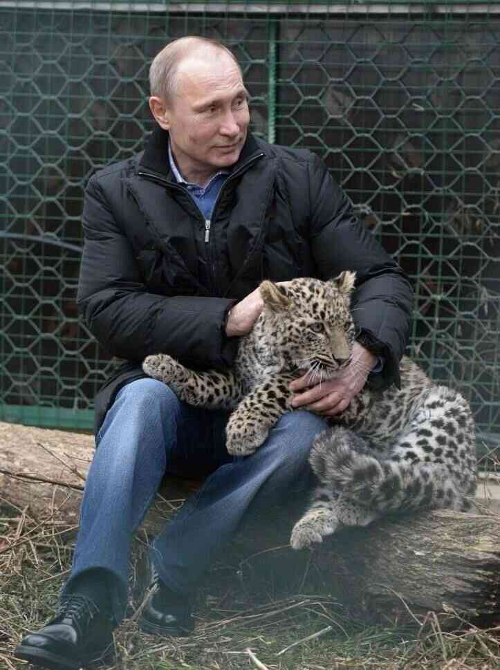 プーチン好きな人、画像貼るトピ
