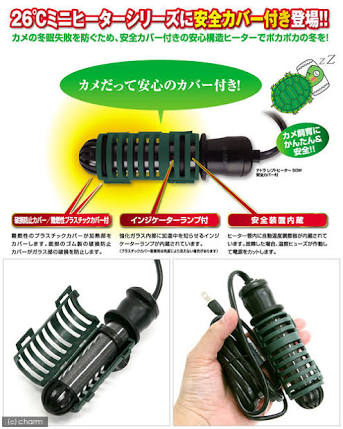 氷点下でペットの亀が氷漬けに…変わり果てた姿に大反響