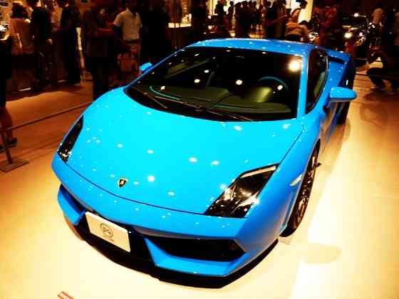 芸能人の自宅公開