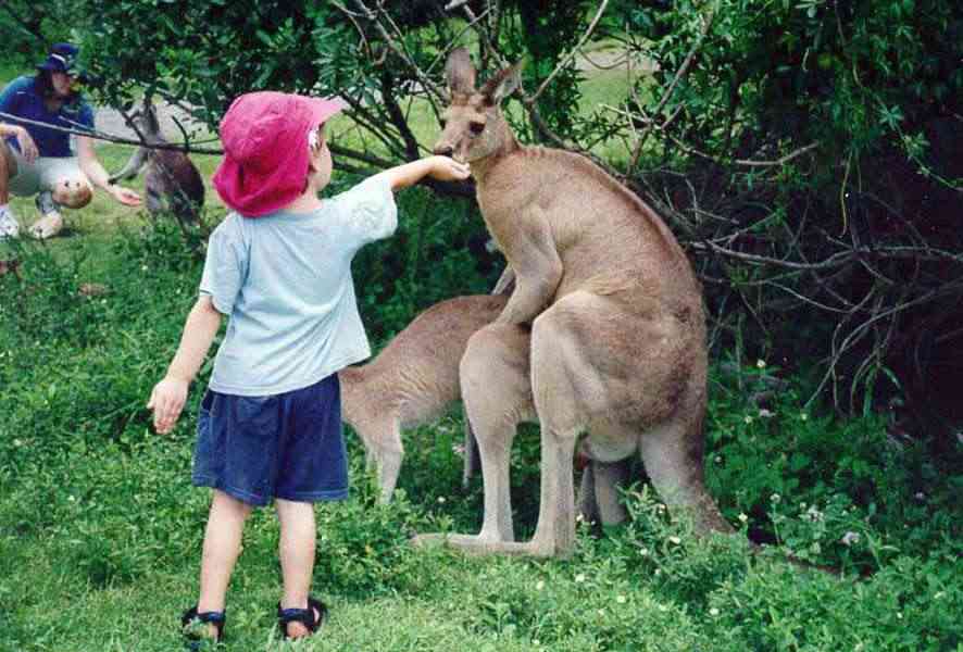 《画像》笑える動物の写真
