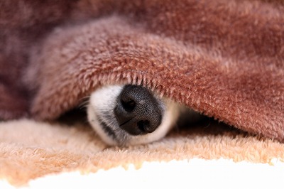 自分なりの健康法
