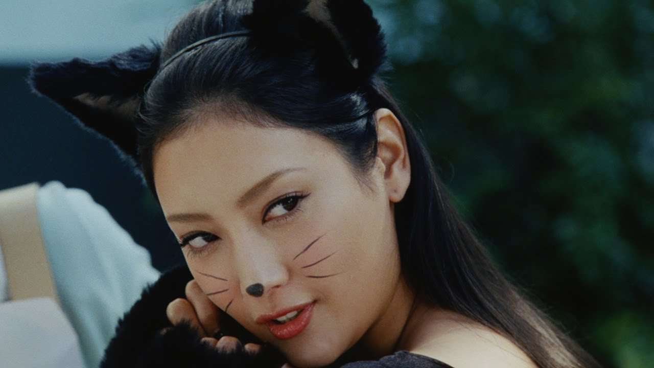 菜々緒の 泥棒猫 に こんな猫ちゃん飼いたい ガールズちゃんねる Girls Channel